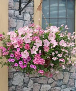 Roots Plants Bridal Bouquet' | Instant Designer Hanging Basket All Annual Bedding