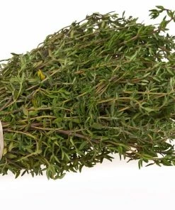 Roots Plants 3 Organic Thyme Plants