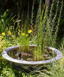 Roots Plants All Pond Plants Pond In A Pot Planting Kit | Oxygenating & Wildlife | Flowers & Structure